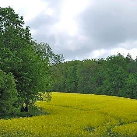 Stricker Harz 4*